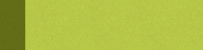 Carta: Kraft Bianco - Colore: Verde Chiaro/Verde - Maniglia: Verde Chiaro
