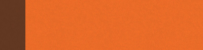 Carta: Kraft Bianco - Colore: Arancione/Marrone - Maniglia: Marrone