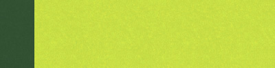 Carta: Kraft Bianco - Colore: Verde Chiaro/Verde - Maniglia: Verde