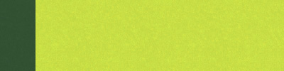 Carta: Kraft Bianco - Colore: Verde Chiaro/Verde - Maniglia: Verde